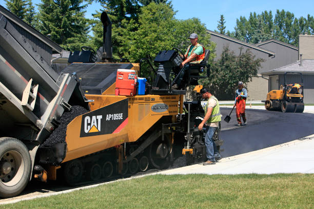 Best Custom Driveway Pavers  in Woodbine, IA